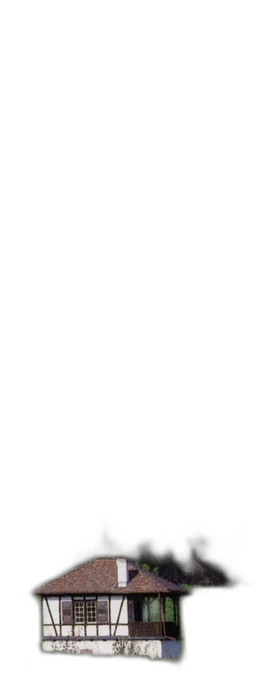 PINOT NOIR ROSE TROCKEN VDP.GUTSWEIN