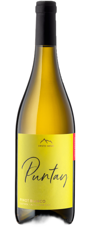 PINOT BIANCO DOC PUNTAY