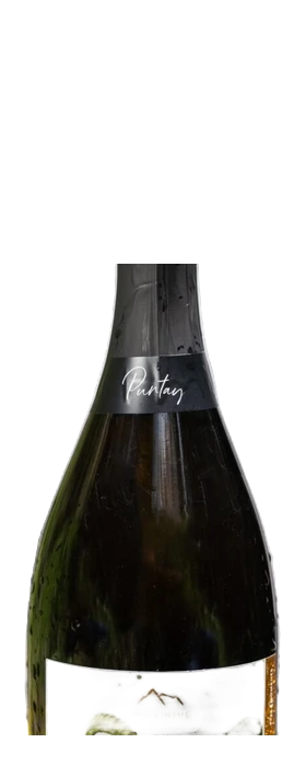 SAUVIGNON DOC PUNTAY