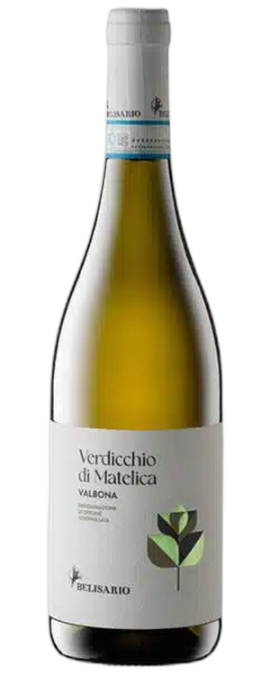 Verdicchio di Matelica Valbona
