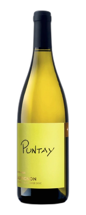 SAUVIGNON DOC PUNTAY