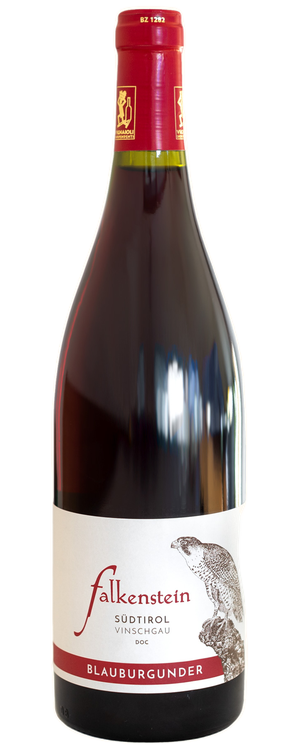 Blauburgunder